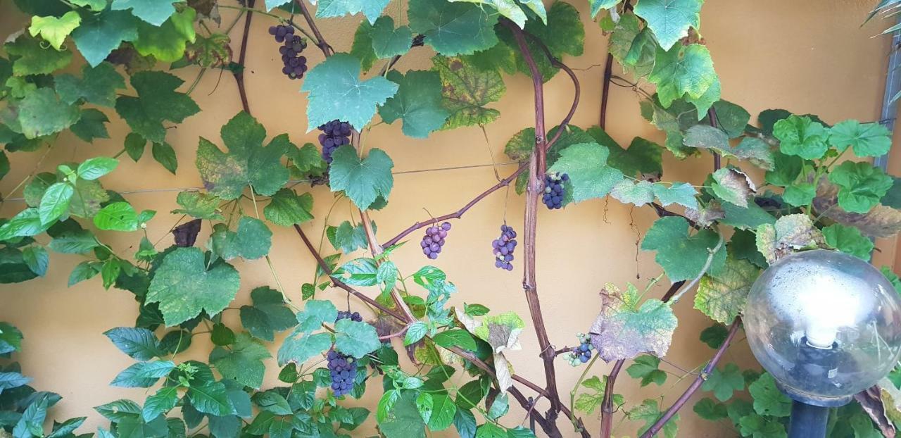 Casa Vacanze Rose E Fiori Sardegna San Vito  Eksteriør billede